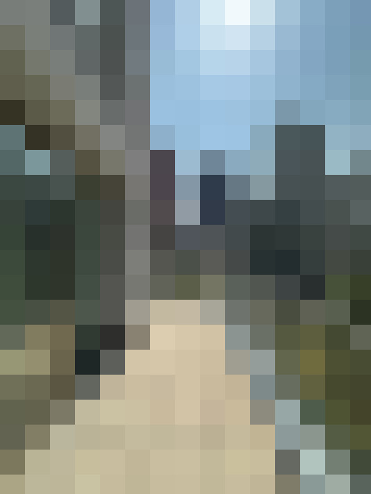 Image 15