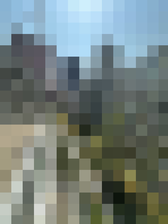 Image 14