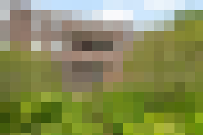  / #16
