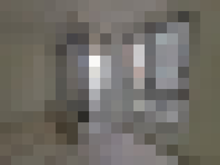  / #25