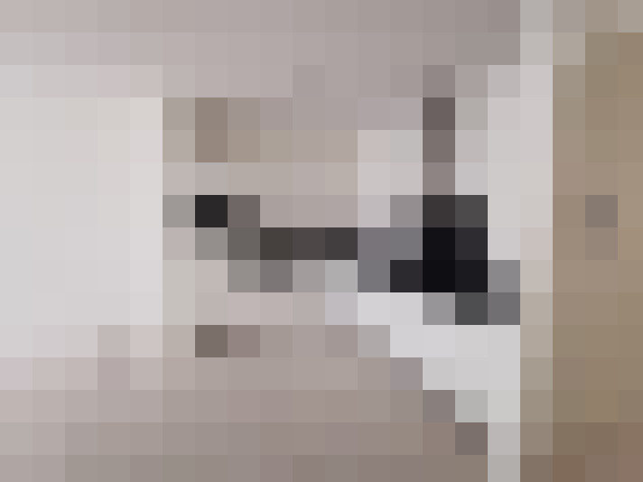 / #14