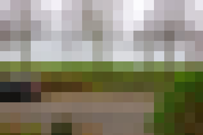 Image 47