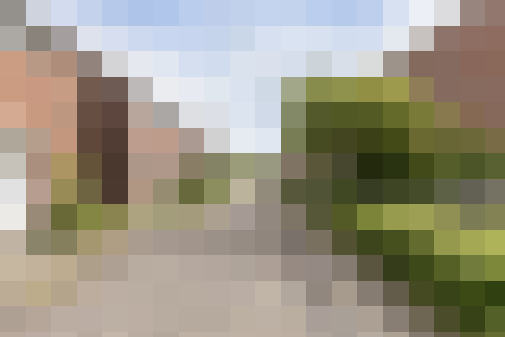  / #16