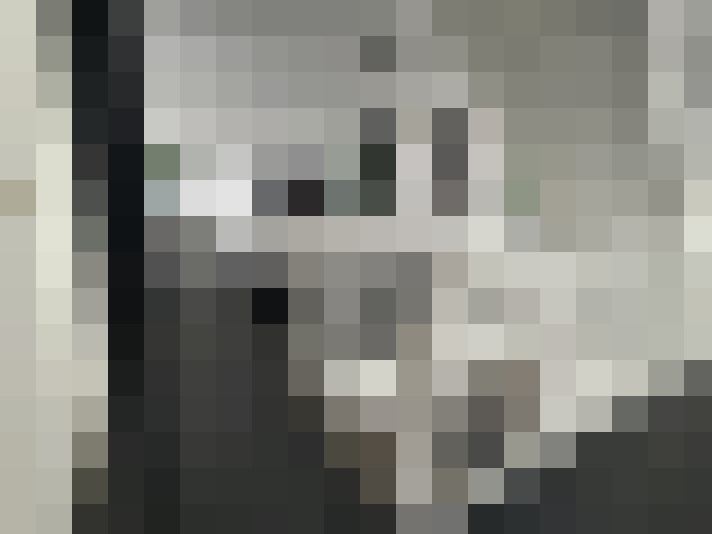  / #8