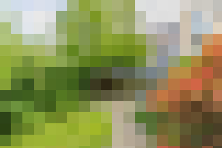 / #16