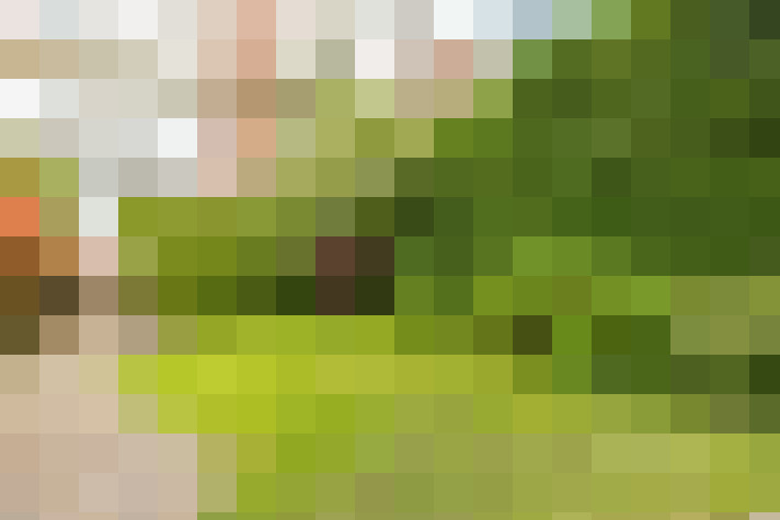  / #20