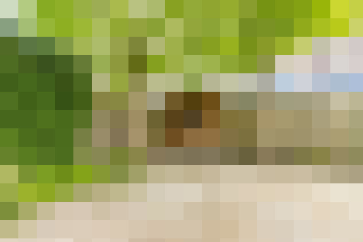  / #19