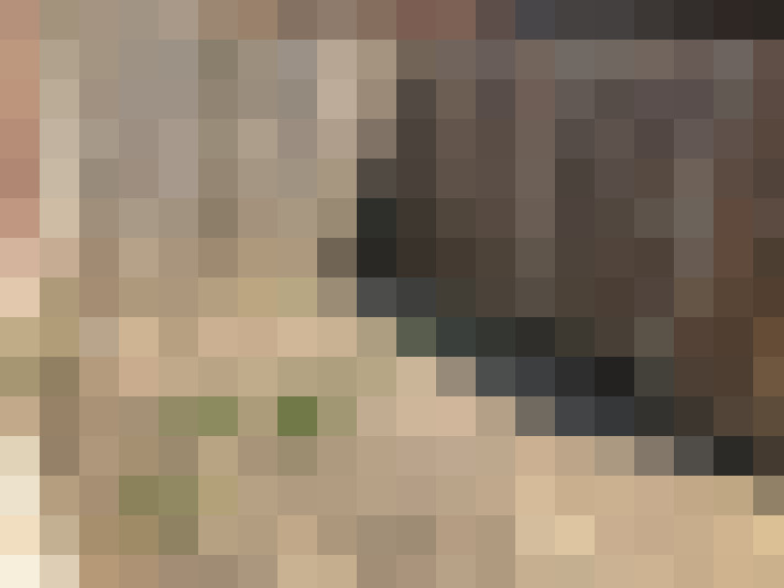  / #15