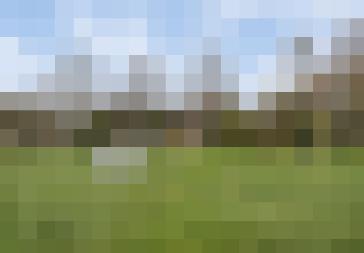 Image 20