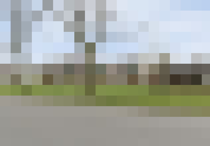 Image 14