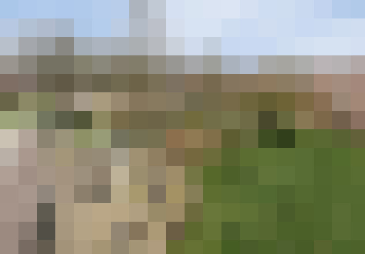Image 13