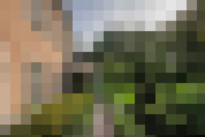 Image 31