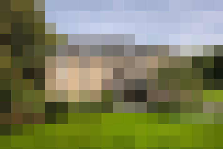 Image 65