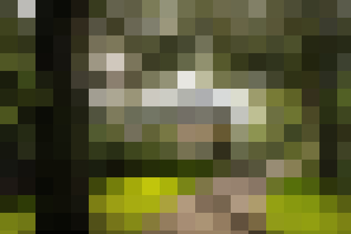 Image 52