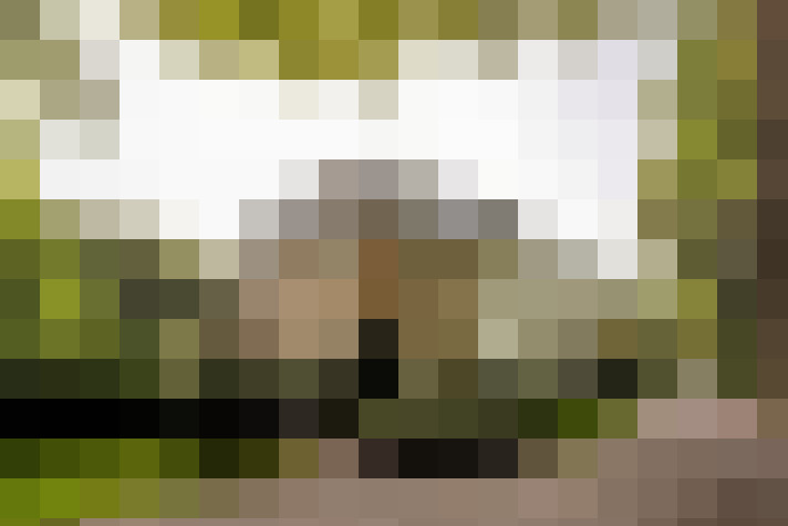Image 33