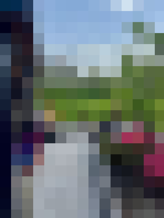 Image 37