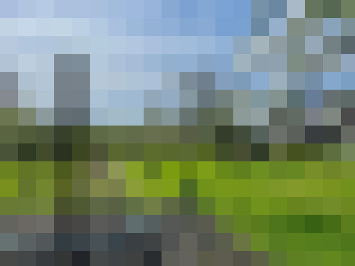 Image 41