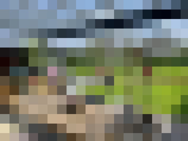Image 34