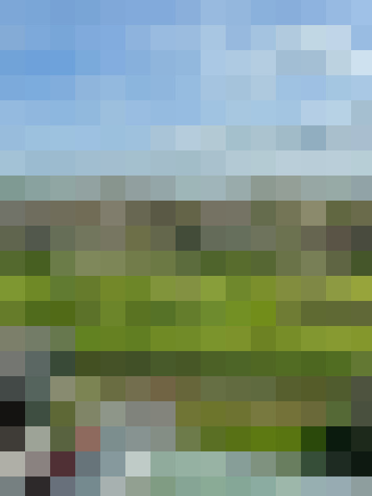 Image 26