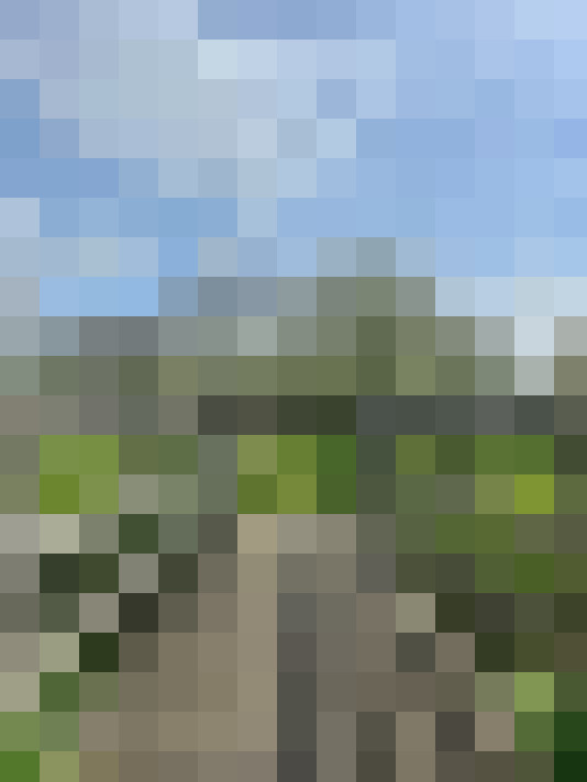 Image 39