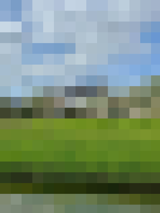 Image 38