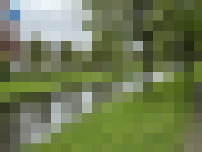 Image 13