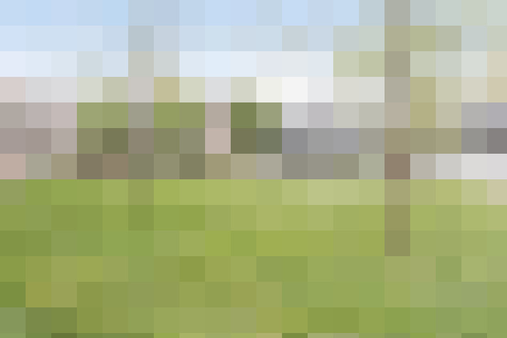 Image 20