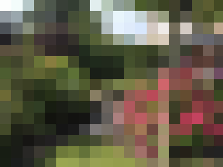 Image 67