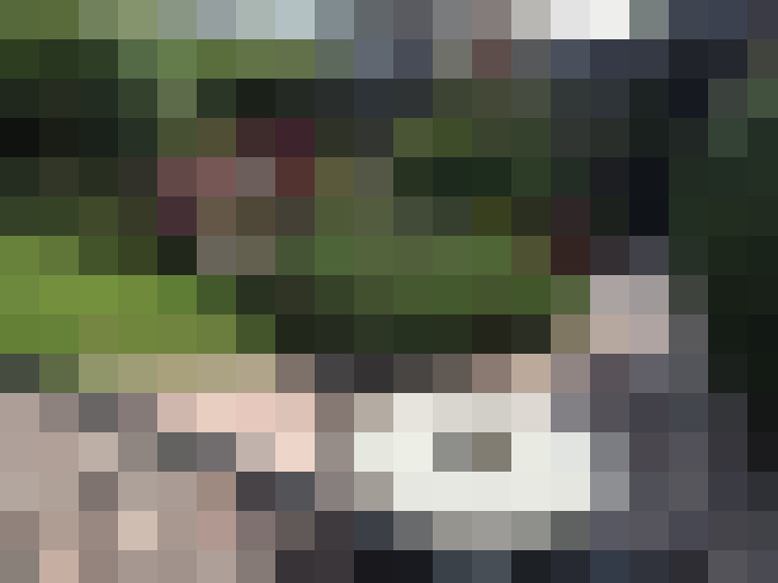 Image 63