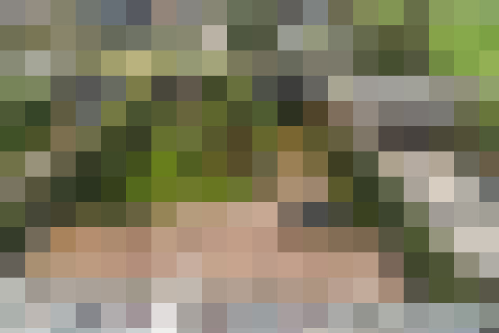 Image 38