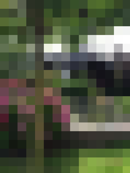 Image 61