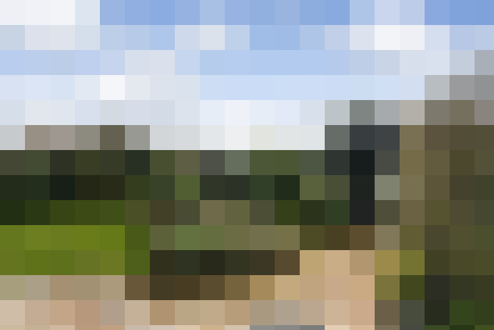 Image 23