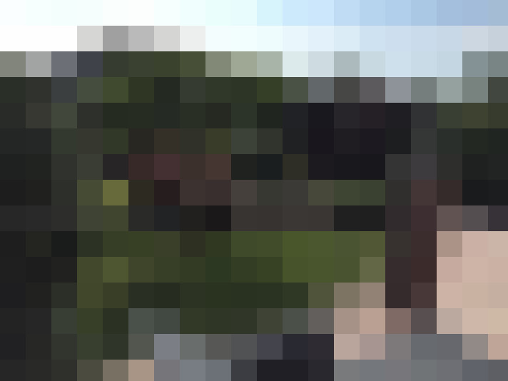 Image 66