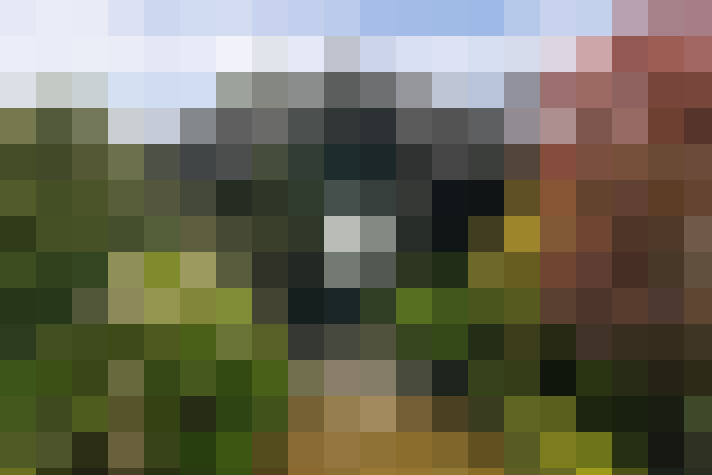 Image 27