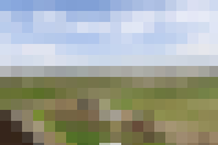 Image 58