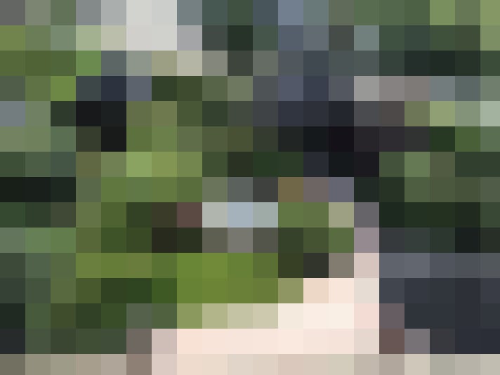 Image 68