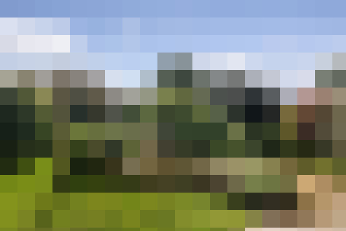 Image 22