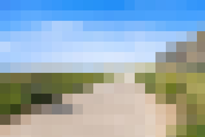  / #83