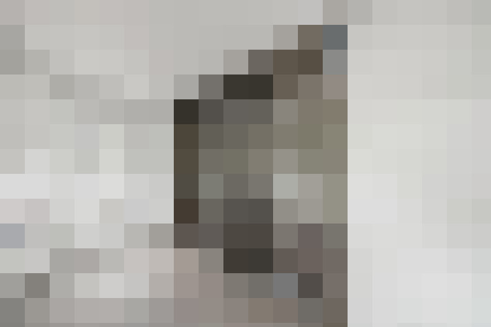  / #17
