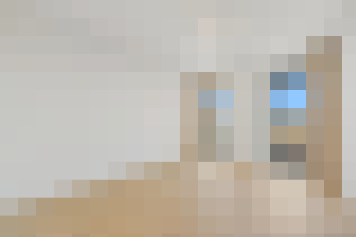  / #54