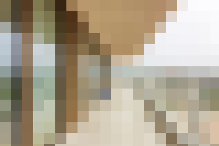  / #19
