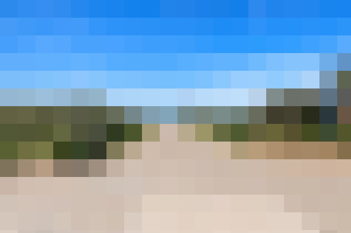  / #84