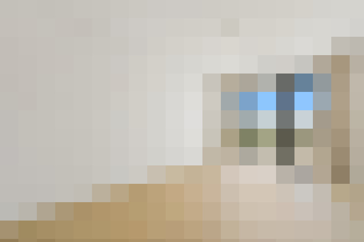  / #80