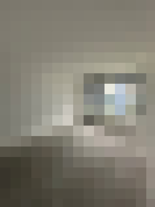  / #19