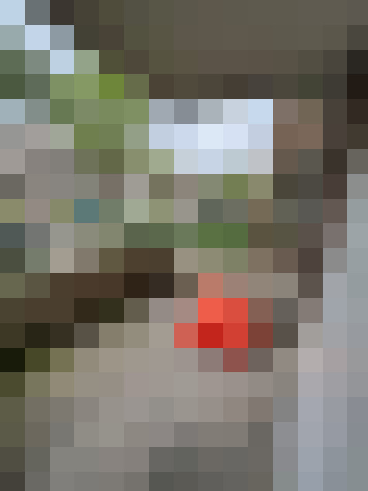  / #15