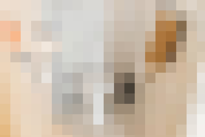 Image 30
