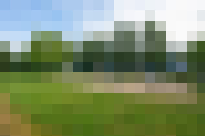 Image 31