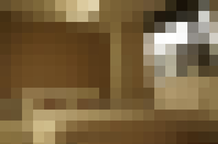  / #16