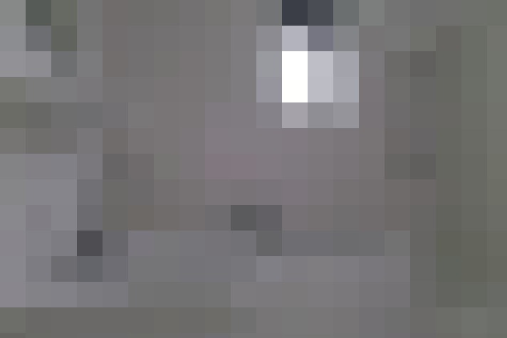  / #16