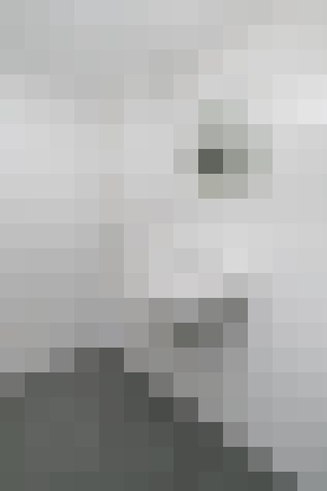  / #19